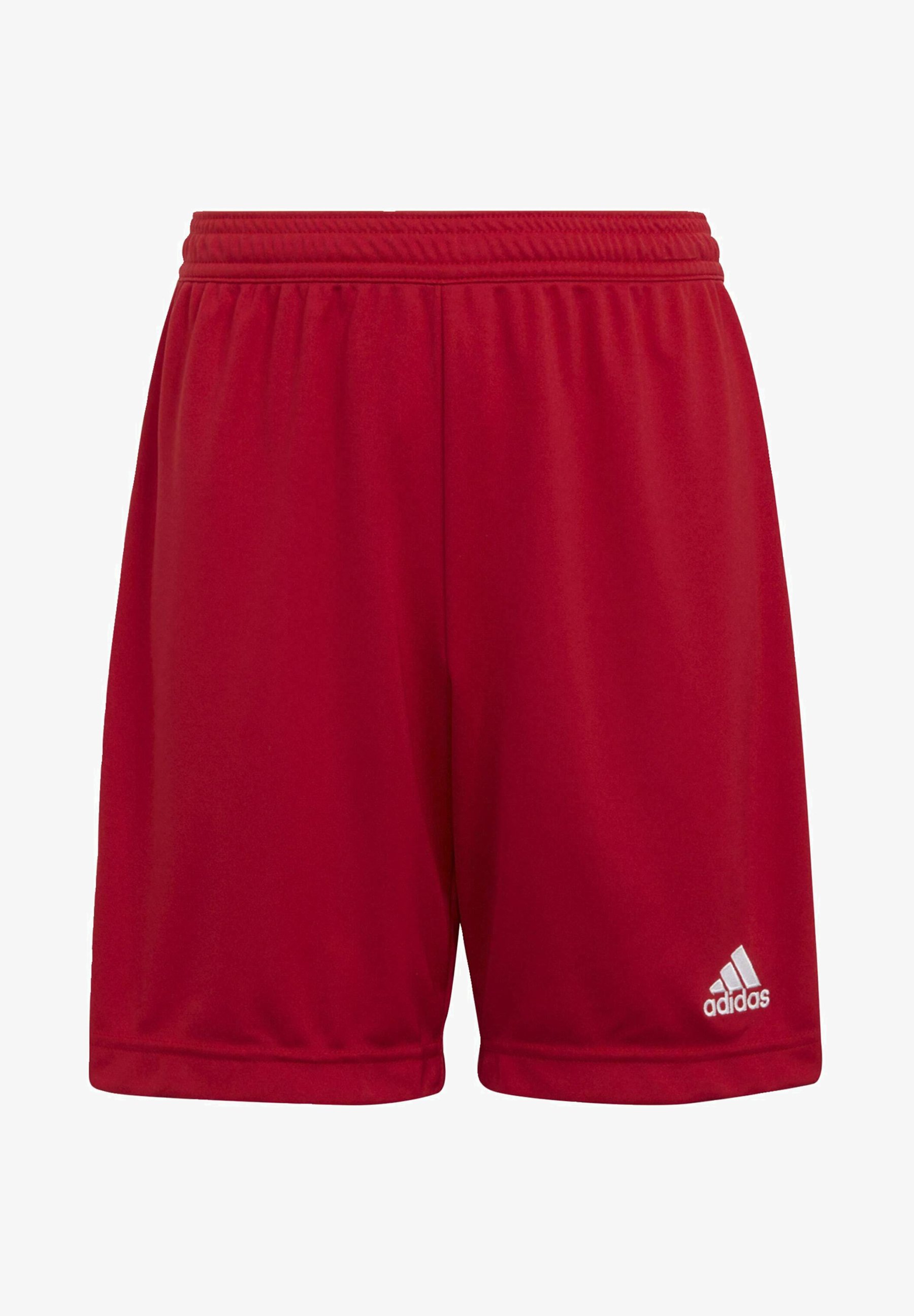 Adidas pantaloncini entrada Clearance