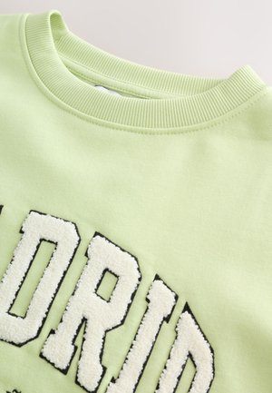 Lysegrøn sweatshirt med ribstrikket rund hals. Har fed, fluffy hvid tekst med sorte accenter. Glat tekstur over det hele.