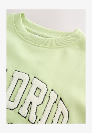 Hellgrünes Sweatshirt mit geripptem Rundhalsausschnitt. Mit auffälligem, flauschigem weißem Text, der in Schwarz akzentuiert ist. Insgesamt glatte Textur.