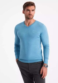 Maglione azzurro chiaro a scollo a V realizzato in tessuto lavorato a maglia. Design aderente con maniche lunghe, dettaglio del logo discreto sul petto e polsini a coste.