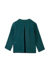 Grüner Langarmoberteil aus weichem Stoff mit rundem Ausschnitt und Rückenschlitz für ein offenes Design. Kleines Etikett an der Seite.