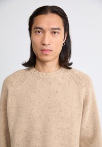 Beige, gestrickter Pullover mit Raglanärmeln und Rundhalsausschnitt, der eine strukturierte Oberfläche mit dezenten Farbsprenkeln hat.