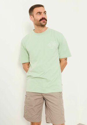 Mand med overskæg iført lysegrøn T-shirt med palmetræ-design og beige cargoshorts, står mod hvid baggrund.