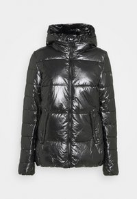 Champion Vinterjakker - black