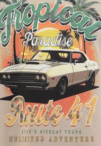 Auto sportiva d'epoca bianca con palme, sfondo al tramonto, e testo che recita Paradiso Tropicale Route 41, Tour in Airboat di Steve, Avventura Illimitata.