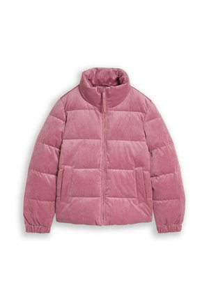 TOM TAILOR DENIM, TOM TAILOR DENIM JACKEN CORD JACKE AUS WASSERABWEISENDEM MATERIAL - Veste d'hiver - dusty berry