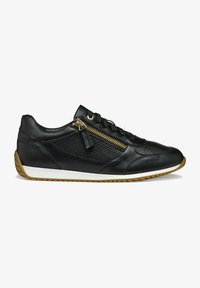 Geox CALITHE - Trainers - black - Zalando