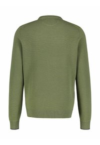 Grüner Pullover mit strukturiertem Strickmuster, rundem Halsausschnitt und langen Ärmeln. Mit gerippten Bündchen und Saum. Nur Rückansicht.