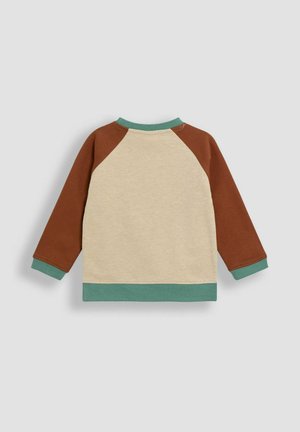 Hellbeige Sweatshirt mit langen braunen Raglanärmeln und einem türkisfarbenen Rand am Kragen und an den Manschetten. Weiches Material mit einem lässigen Design.