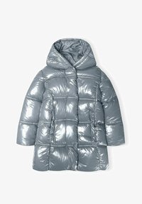 Nepasirinkta, silver coloured