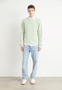HUGO SONDYE - Pulover - light pastel green