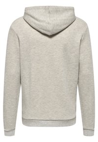 Lysegrå hættetrøje vist bagfra, med lange ærmer og ribbet håndled og kant.