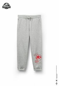 Szare bawełniane dresy z elastycznym paskiem w talii i sznurkiem do regulacji. Na lewej nogawce znajdują się czerwone grafiki dinozaurów oraz napis. Dół nogawek zakończony ściągaczem.