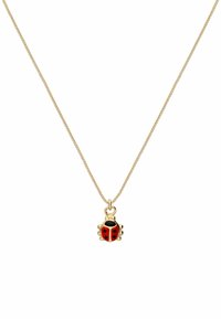 Gouden ketting met een rode en zwarte lieveheersbeestje-hanger, met zes poten en een glanzende afwerking, hangend aan een gestructureerde ketting.