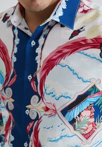 Chemise colorée avec des motifs floraux et scéniques complexes en bleu, rouge et blanc. Fabriquée en tissu lisse avec un col boutonné.