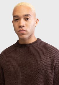 Redefined Rebel MILTON BOXY FIT - Pulover - demitasse