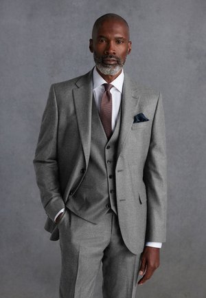 Homme à barbe grise portant un costume trois pièces gris, une chemise blanche, une cravate marron et un mouchoir de poche foncé, se tenant devant un fond gris uni.