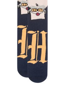 Calzini blu scuro con un gufo grigio che tiene una busta sigillata con scritte rosse e grandi lettere in stile gotico gialle "H H".