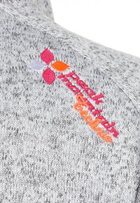Peak Mountain ATORA - Veste polaire - gris