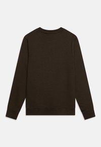Felpa marrone a girocollo con maniche lunghe. Realizzata in tessuto morbido, presenta un orlo cucito semplice e una vestibilità classica, senza grafiche.