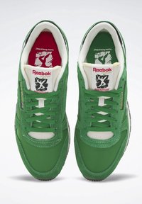 Pár zelených tenisek Reebok Classic s bílými detaily, na jazyku nápis a grafika "Human Rights Now!" a kontrastní červené a zelené stélky.