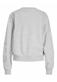 Pelēks džemperis, izgatavots no mīkstas auduma, ar garām piedurknēm, noapaļotu apkakli un saīsinātu apakšmalu. Vienkāršs dizains bez rakstiem vai akcentiem.