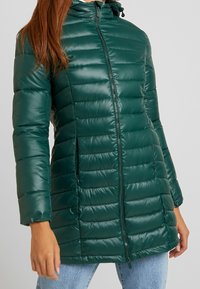Chaqueta de plumas verde acolchada con cuello alto y cierre de cremallera. Presenta costuras horizontales y puños elásticos. Textura suave y brillante.