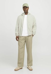 Jachetă zip-up gri deschis, tricou alb, pantaloni bej și șapcă verde deschis. Adidași cu accente bej și talpă mai deschisă. Texturi netede.
