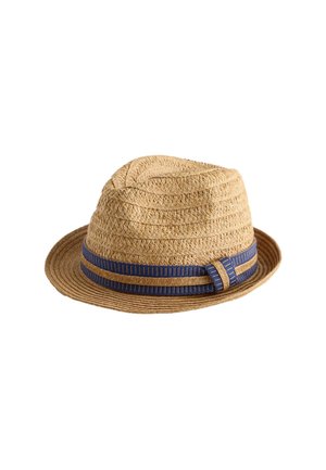 Brauner gewebter Fedora-Hut mit blau-braun gestreiftem Band um die Basis der Krone auf weißem Hintergrund.