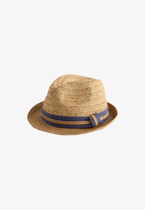 Chapeau fedora marron tressé avec un ruban rayé bleu et marron autour de la base de la couronne sur fond blanc.