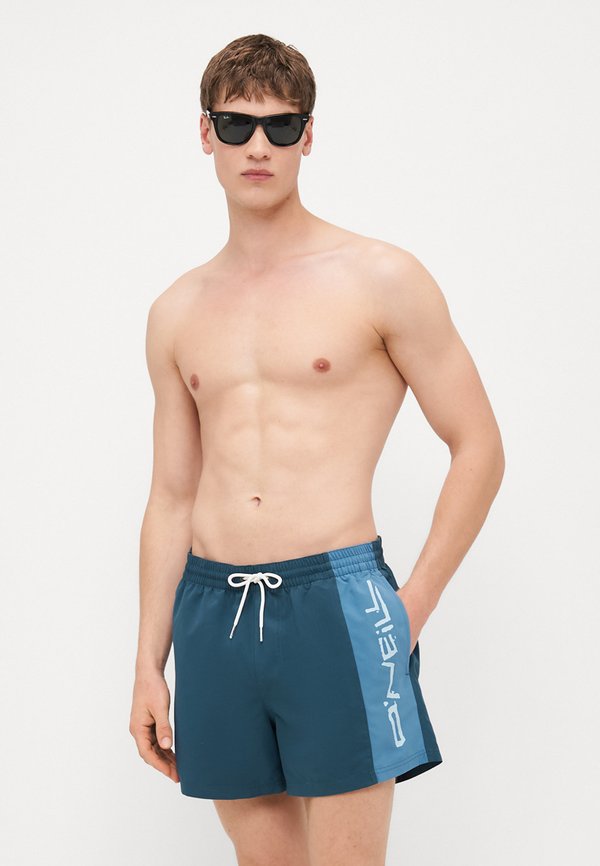 RETRO - Swimming shorts - alma steel4