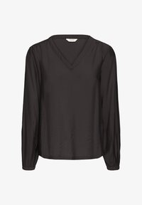 Ausgewählt, meteorite