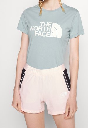 T-shirt print - blue-grey
