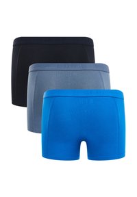 Vyrų bokso trumpos kelnaitės juodos, pilkos ir mėlynos spalvų. Minkšta, tampri medžiaga, puikiai priglundanti prie kūno, su tekstūruotu juosmeniu, kuriame yra "BLUE RIDGE" logotipas.