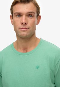 Lichtgroen katoenen T-shirt met een ronde hals, met een klein geborduurd logo op de borst en een gladde, zachte textuur.