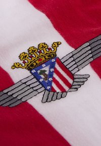 Rood en wit gestreepte stof met een geborduurd schild, voorzien van een kroon, vleugels en een boom, gedetailleerd in blauw, wit en grijs garen.