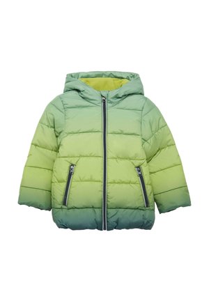 Groene pufferjack met een verloop van lichtgroen naar donkergroen, met kap, voorzien van een rits aan de voorkant en twee zipzakken aan de zijkanten.