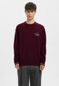 Annarr PULLOVER - Maglione - loganberry