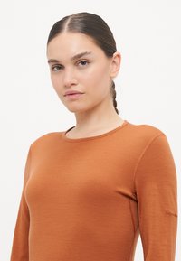 Long-sleeve, fitted top in rust orange, made of soft fabric, with a rounded neckline and subtle stitching detail on the sleeves.