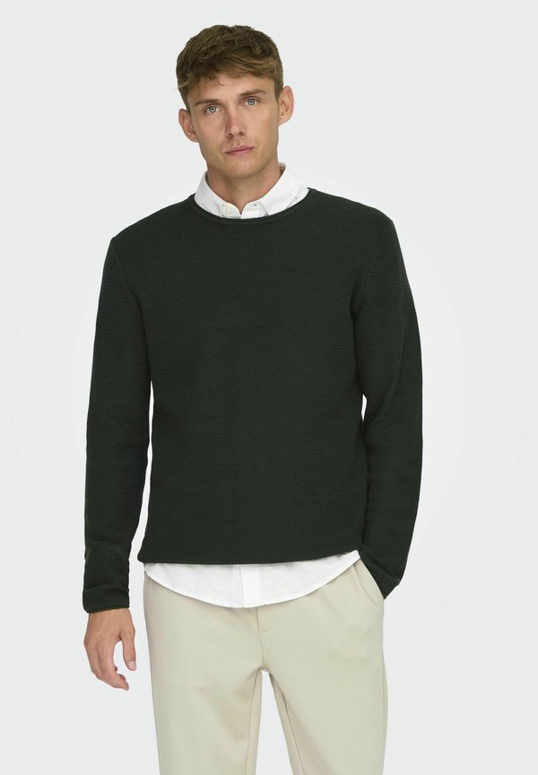 NORMAL GESCHNITTEN RUNDHALSAUSSCHNITT - Strickpullover - rosin