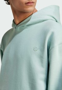 Ljus mintgrön hoodie med en mjuk textur, utrustad med en framficka och en liten broderad logotyp. Justerbar dragkedja vid huvan.