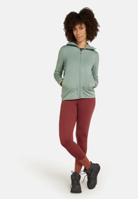 icebreaker ELEMENTAL - Fleece jacket - green