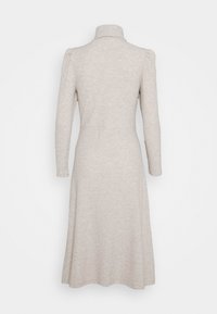 Robe beige clair en maille côtelée à manches longues avec col roulé et légère évasement à l'ourlet, vue de dos.