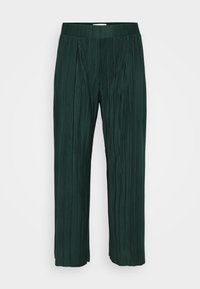 CARRAVENNA PLISSE - Pantalon classique - scarab