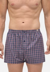Hombre vistiendo calzoncillos a cuadros en azul, rojo y blanco con frente abotonado, mostrando torso y brazos desnudos sobre un fondo plano.