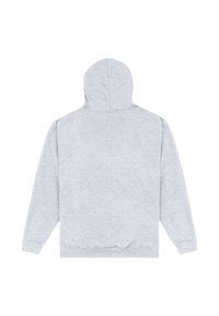 Felpa grigia con cappuccio, con maniche lunghe, orlo a costine e una texture liscia. Design semplice senza motivi o accenti visibili.