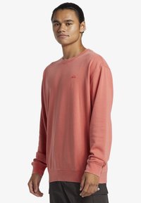 Quiksilver SALT  - Sudadera - mlh