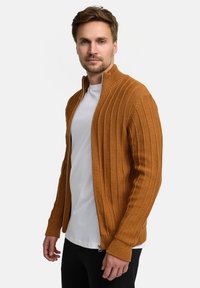 Pullover aus rostfarbenem Strick mit vertikaler Rippenstruktur, Reißverschluss, hohem Kragen und eng anliegenden Ärmeln, getragen über einem weißen Hemd.