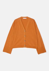 Gilet - camel
