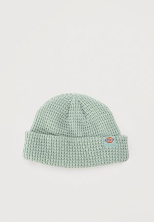 Gorro de punto acanalado verde pálido, con vuelta y un parche con el logotipo de Dickies, sobre un fondo liso y claro.